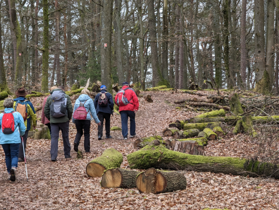 Lemberger Rothenberg-Tour am 19. März 2023
